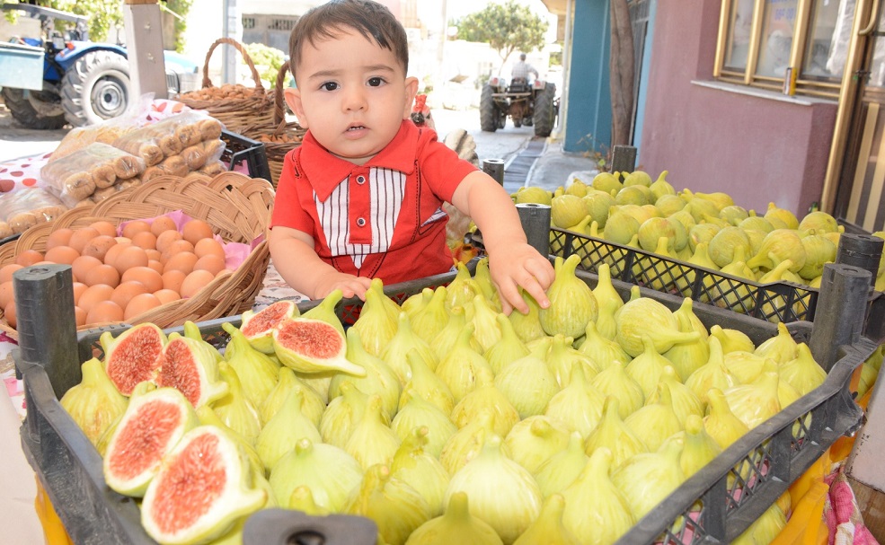 Torbalı İncir festivaliyle şenlendi