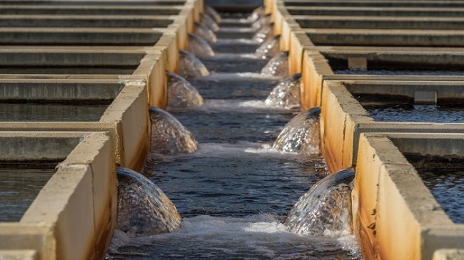Yaşamın ve sağlığın vazgeçilmez unsuru su, Fuar İzmir’de ele alınacak