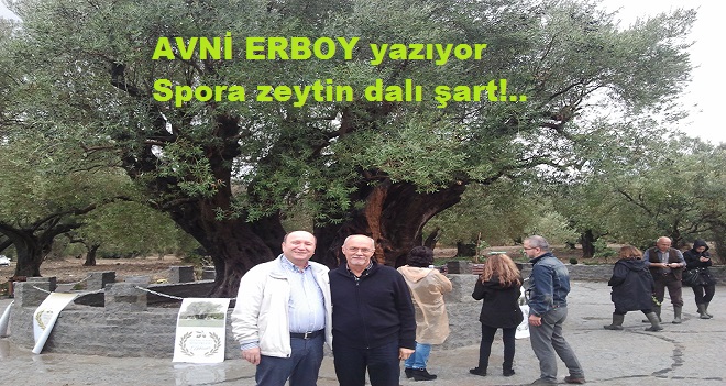 SPORA ZEYTİN DALI ŞART