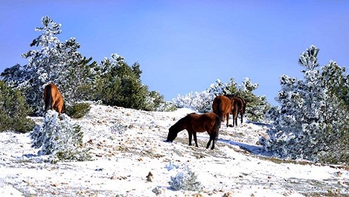 SPİL DAĞI'NA ŞİMDİ GİTMEK LAZIM...