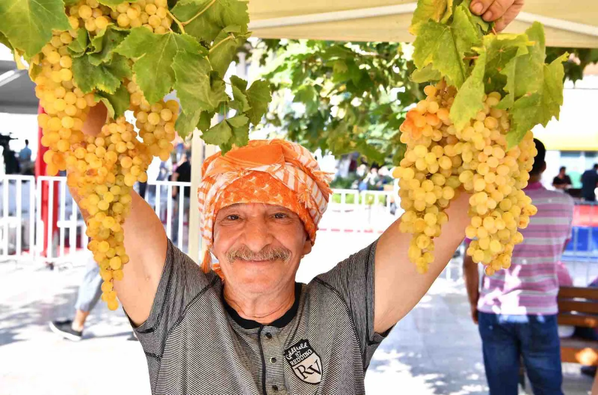Urla'da Bağbozumu Şenlikleri başlıyor