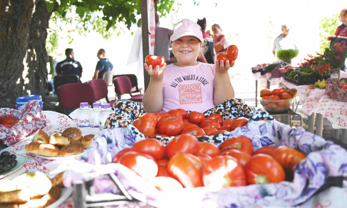 Yamanlar Tarla Domatesi üreticileri Tarla Günü etkinliğinde buluştu
